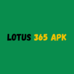 Lotus 365 APK 